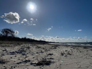 IMG_7185